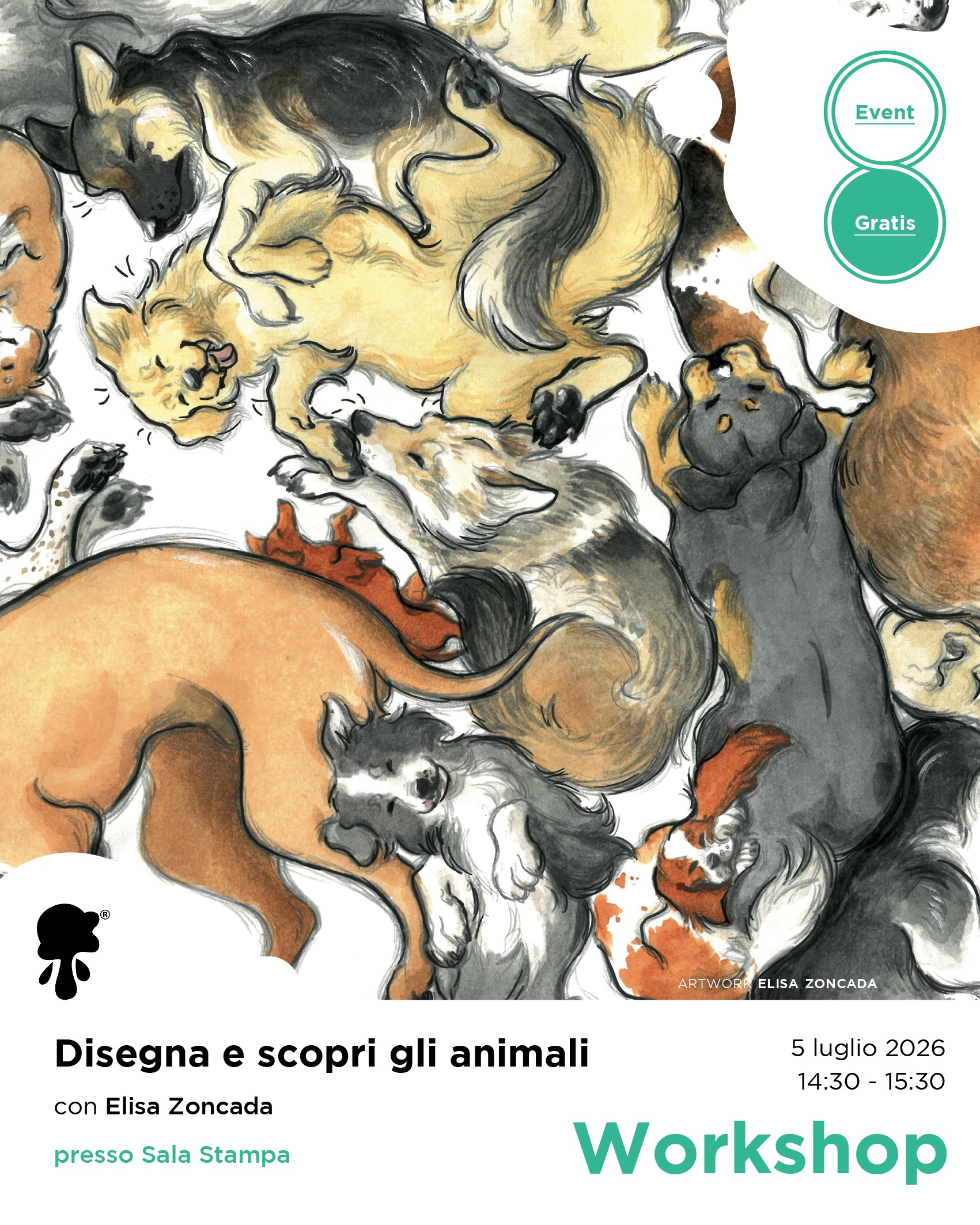 DISEGNA E SCOPRI GLI ANIMALI